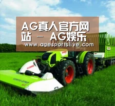关于AG真人