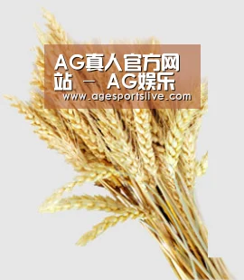 AG真人官方网站 - AG娱乐在线平台入口